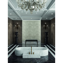 STUCCO VENEZIANO - Acrylic Venetian Plaster, High Gloss Decorative Plaster by San Marco (White Base)